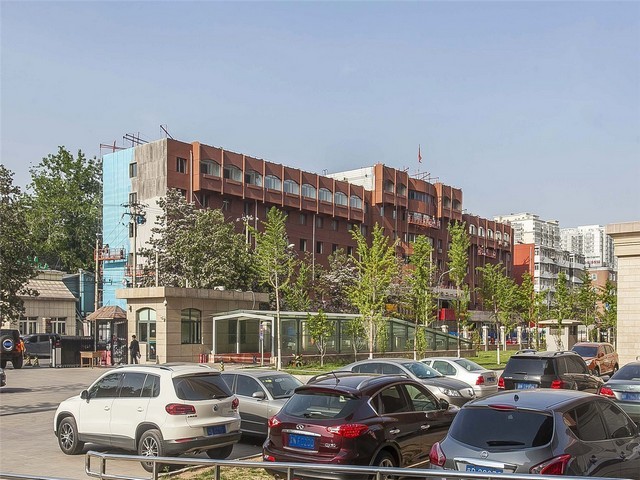 珠芽魔芋种子如何选择